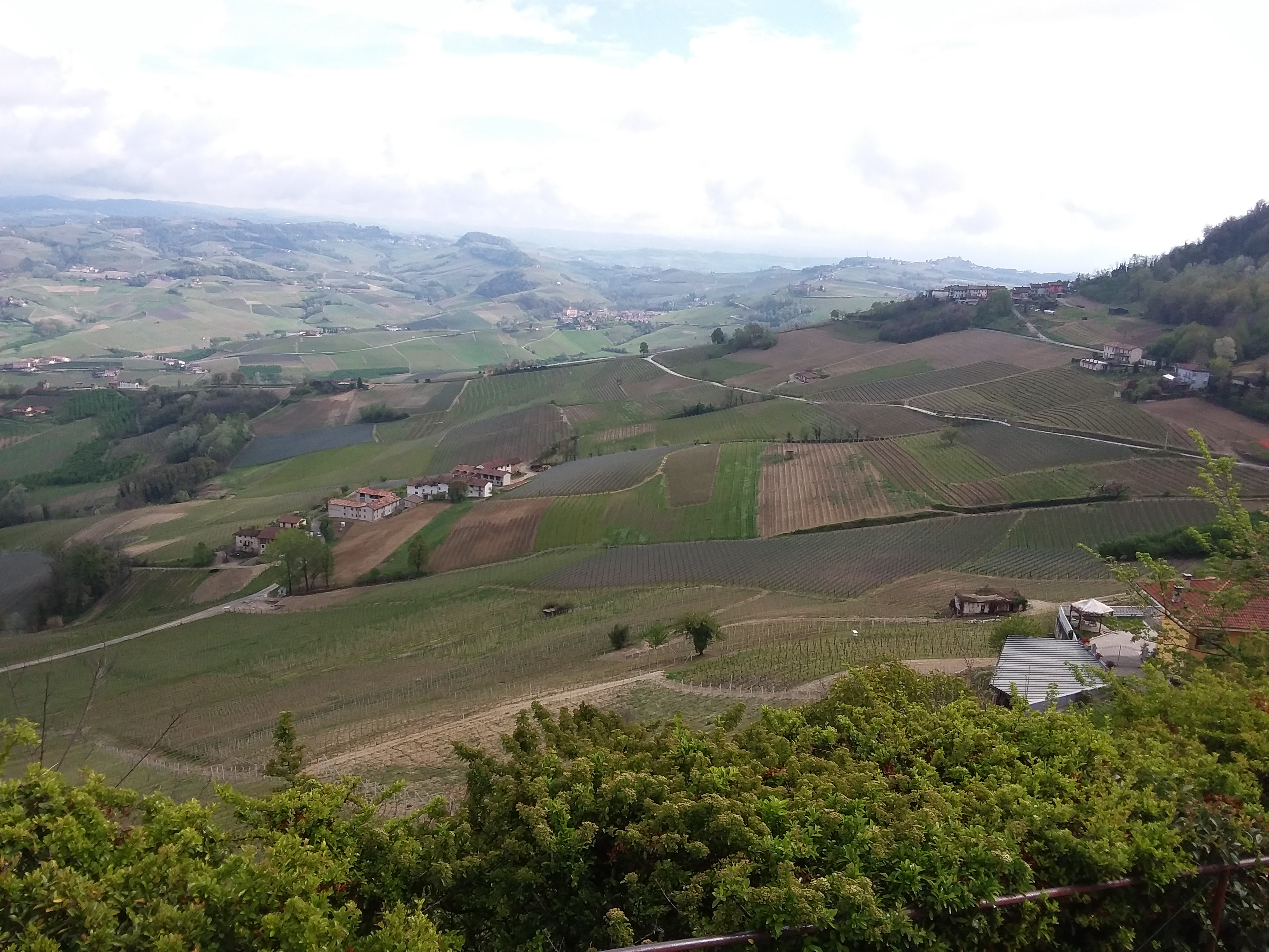 6 langhe